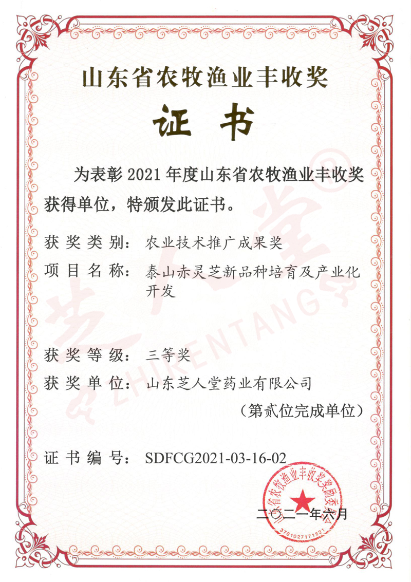 企業(yè)榮譽(yù)(圖8)