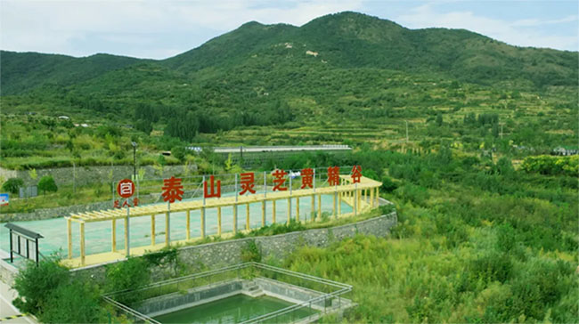 未標(biāo)題-2.jpg
