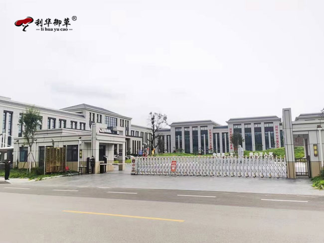 泰安市農(nóng)業(yè)農(nóng)村局領(lǐng)導(dǎo)蒞臨芝人堂參觀指導(dǎo)